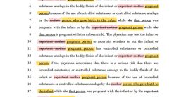 "Controversial Bill: Wisconsin Democrats Erase 'Mother' from Law!"  family equality legislation, motherhood terminology changes, gender-inclusive parenting policies