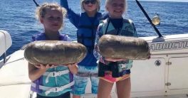 Florida Family's Fishing Trip Turns Wild: 56 Pounds of C*caine!  Florida fishing charter, drug smuggling incidents, unexpected fishing catches