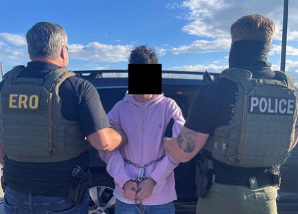 Teen Driver Who Killed Woman in 90mph Crash Arrested by ICE! illegal immigration news, traffic accident consequences, deportation policies