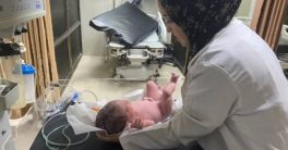 "Tragic Airstrike: Pregnant Doctor Killed While Aiding Gaza Families"  humanitarian crisis Gaza, medical professionals in conflict zones, impact of airstrikes on civilians