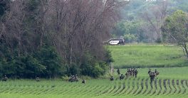 Assassin Vance Boelter Captured in Dramatic Green Isle Standoff!  Assassin news, police surrender, search operation updates