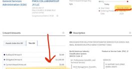 Biden Administration's Shocking $999 Billion USAID Contract Exposed!  USAID funding controversy, Biden administration contracts, government scam investigations