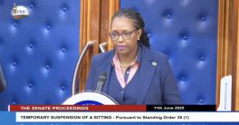 CCTV Tampering in Police Custody Death: Suicide Theory Debunked!  CCTV interference investigation, police custody death analysis, Kenyan Senate hearing 2025