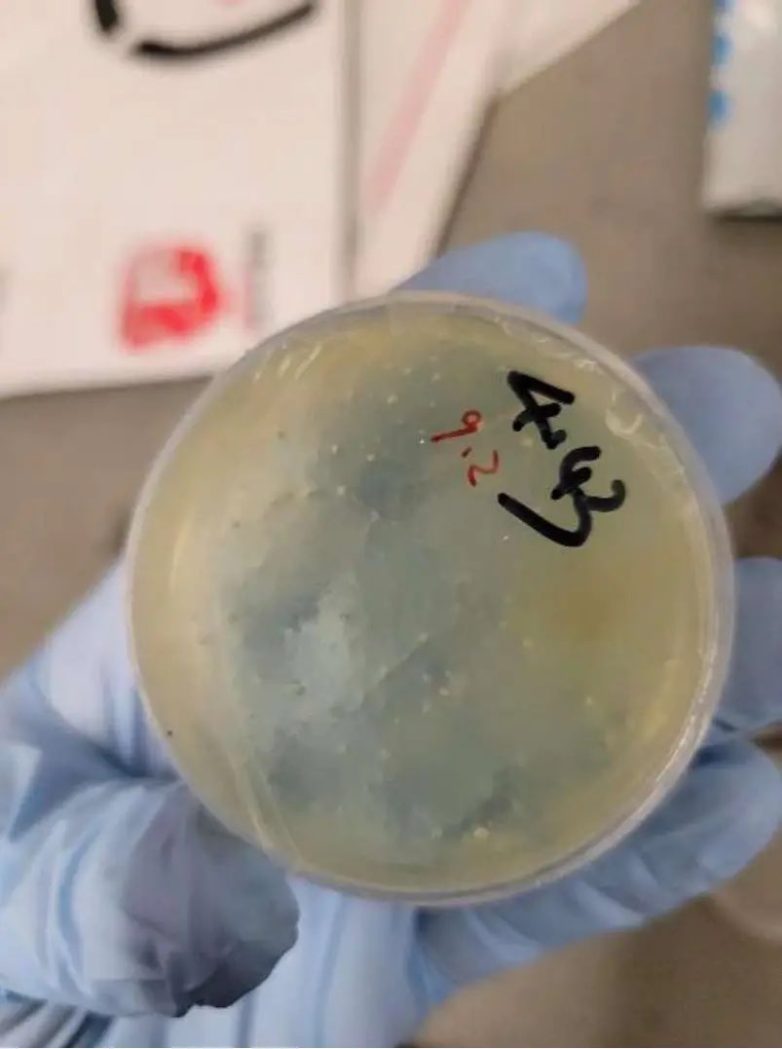 Chinese Ph.D. Student Arrested: Smuggling Biological Materials? biological material smuggling, Chinese national arrest, federal investigations 2025