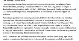 "Controversial Move: Lawmaker Demands Deportation of Citizen Activist!"  citizenship revocation, immigration policy debate, national security concerns
