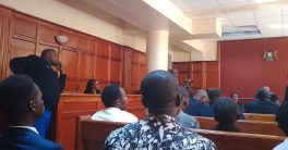 Court Clears Rose Njeri: Shocking Decision Ignites Public Outrage!  Rose Njeri court ruling, Kenya public participation rights, baseless charges justice