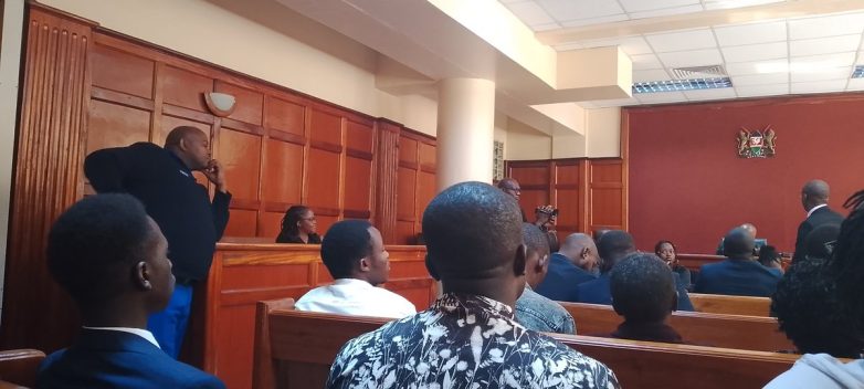 Court Clears Rose Njeri: Shocking Decision Ignites Public Outrage! Rose Njeri court ruling, Kenya public participation rights, baseless charges justice