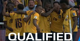 Ecuador's Shocking World Cup Qualification: What Happens Next?  Ecuador national football team, FIFA World Cup qualifiers, South American football achievements