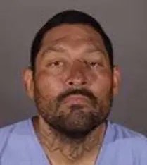 "Hotel Chaos: Man Arrested for Arson Amid DHS Agents' Stay!" Molotov cocktail incident, Los Angeles riots news, arson charges arrest