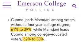 "Is Zohran Mamdani the Ultimate Conman? Shocking Poll Revealed!"  New York mayoral candidates, socialism in urban politics, education and political ideology