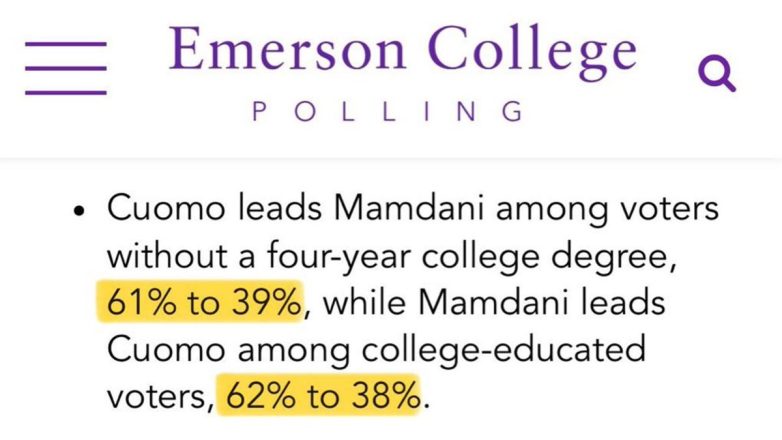 "Is Zohran Mamdani the Ultimate Conman? Shocking Poll Revealed!" New York mayoral candidates, socialism in urban politics, education and political ideology