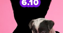 JIN's Shocking Puppy Interview: Will Buzzfeed Hit 4M Subscribers?  Jin Buzzfeed interview, puppy video promotion, YouTube subscriber milestone
