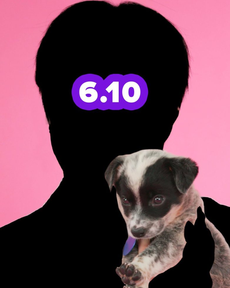 JIN's Shocking Puppy Interview: Will Buzzfeed Hit 4M Subscribers? Jin Buzzfeed interview, puppy video promotion, YouTube subscriber milestone