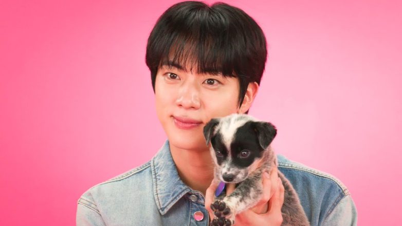"Jin's Shocking Revelation: What This Puppy Really Thinks!" puppy interview series, Jin pet moments, K-pop dog lover