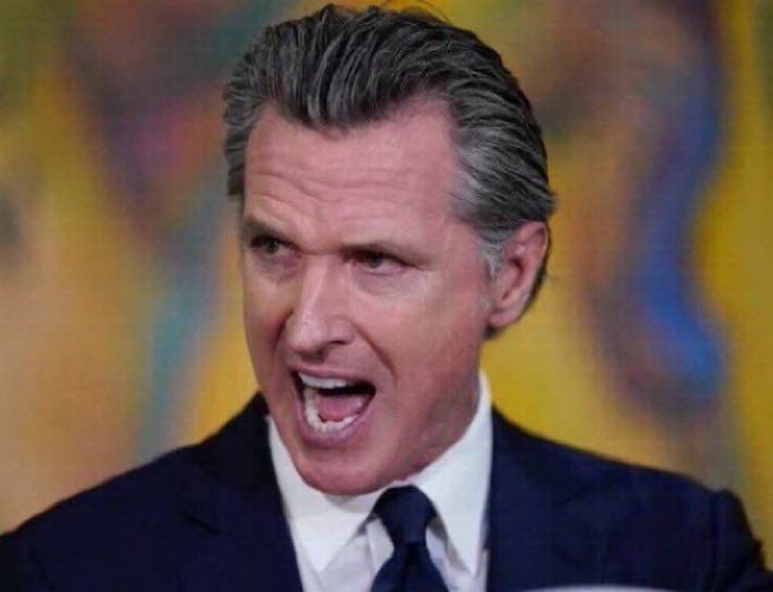 Judge Dismisses Newsom's Case: Trump’s Tariffs Triumph Again! tariff legal battle, Gavin Newsom lawsuit outcome, President Trump trade policy