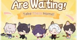 "Lonely Cat Cries for You: Join Our Heartfelt Livestream Now!"  cat adoption, livestream pet events, feline companionship