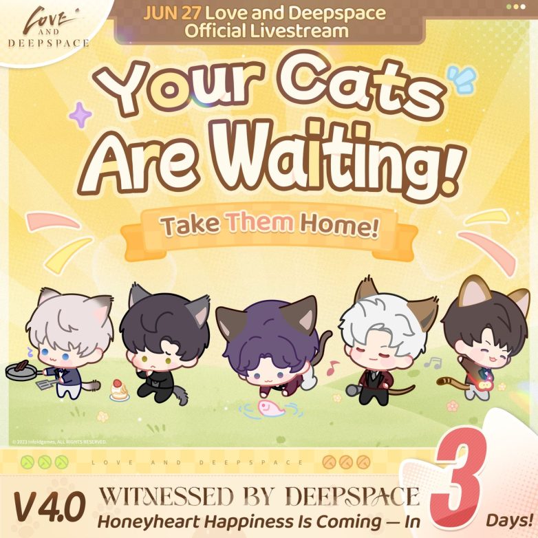 "Lonely Cat Cries for You: Join Our Heartfelt Livestream Now!" cat adoption, livestream pet events, feline companionship