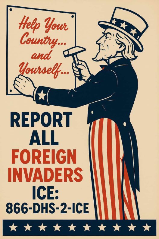 "Nation Divided: Should Citizens Hunt Down Illegal Immigrants?"  report illegal immigration, national security enforcement, community safety initiatives