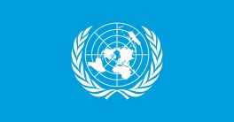 "Rep. Luna Sparks Outrage: Leave UN Over Trump's Iran Strikes!"  US foreign policy response, international law violations, United Nations reform