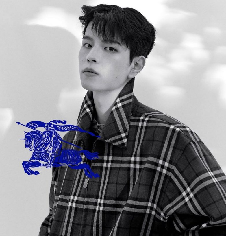 Seungmin's Burberry Role Sparks Debate: Is K-Pop Taking Over Fashion? Seungmin Burberry partnership, Stray Kids fashion collaboration, global brand ambassador announcement