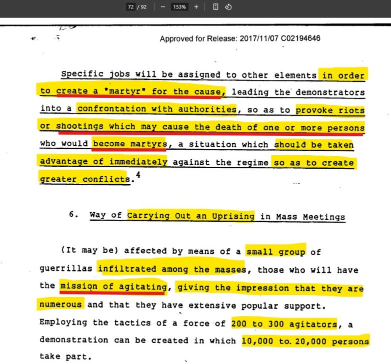 "Shocking CIA Strategy: Create Martyrs to Ignite Deadly Uprisings!" protest strategy analysis, civil unrest tactics, activist movement dynamics