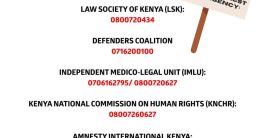 "Shocking Call to Action: Report Legal Failures to Change Lives!"  legal assistance, incident reporting, community support