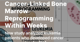 Shocking Study Links mRNA Vaccines to Rapid Cancer Development!  mRNA vaccine cancer risks, leukemia bone marrow changes, metabolic alterations post vaccination