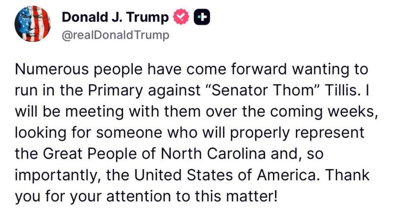 Trump's Shocking Move: Facing Off Against His Own Challengers!  Trump primary challengers, Thom Tillis election strategy, Republican party dynamics