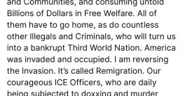Trump's Shocking "Remigration" Plan: A Bold Move or Dangerous Rhetoric?  immigration reform, deportation policy, border security measures
