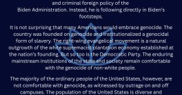 US Vetoes Spark Outrage: Is America Complicit in Palestinian Genocide?  genocide accountability, US foreign policy, Palestine conflict resolution