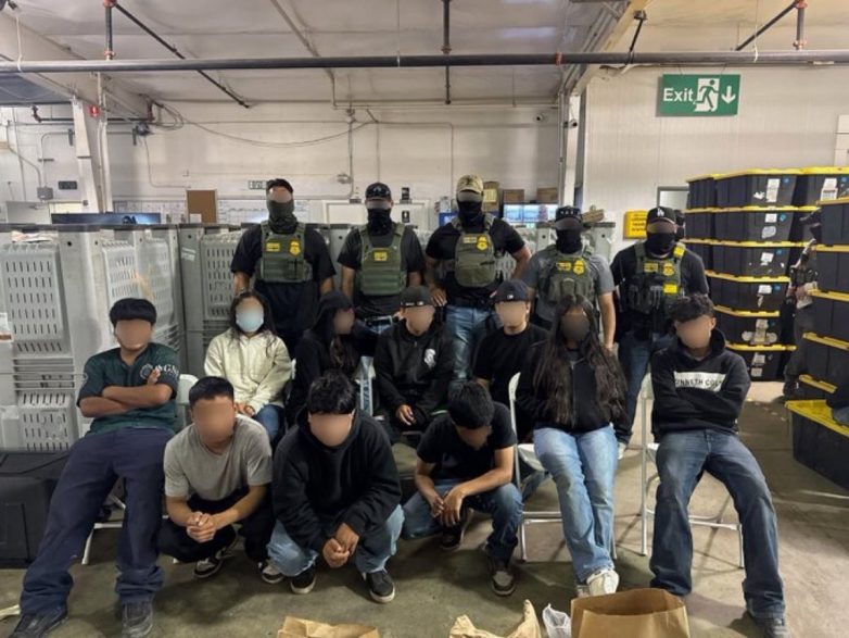 Children Found Working at Marijuana Farm: Shocking California Truth! child labor violations cannabis industry, illegal employment marijuana farms, California agricultural worker rights