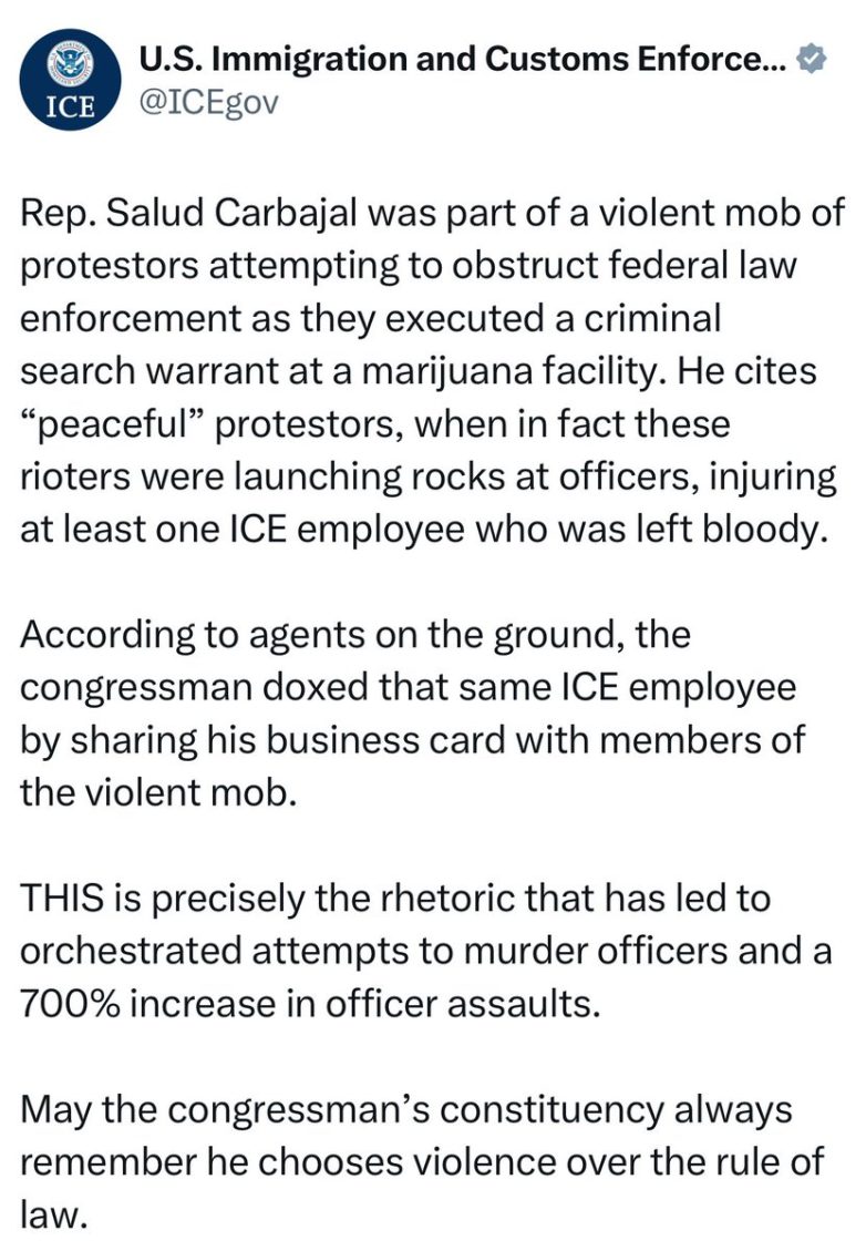 Democrat Rep. Carbajal Accused of Endangering ICE Agent's Life! ICE agent safety, political accountability, mob violence consequences