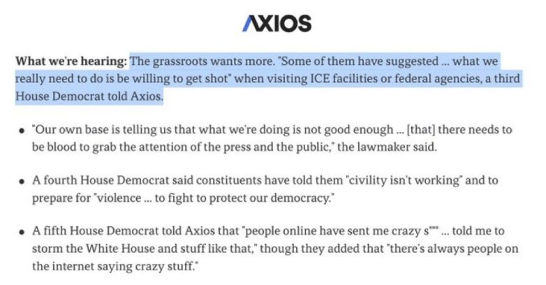 "House Democrats Urged to Embrace Violence Against Trump Supporters!" political violence protest strategies, immigration enforcement dissent, leftist activism and accountability