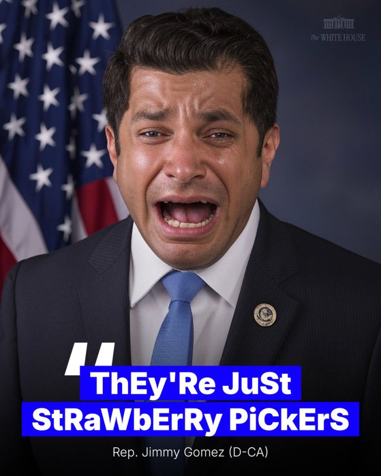 ICE Raids Expose Shocking Truth: Illegal Alien Drug Farms Unveiled! illegal cannabis cultivation, immigration enforcement operations, marijuana farm raids