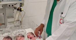 Israeli Airstrike Claims Doctor and Family: Outrage Erupts Worldwide  Gaza conflict casualties, humanitarian crisis in Gaza, medical professionals under attack