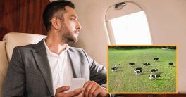 Liberal Jetsetter's Shock: Cows Below Blamed for Climate Crisis!  climate change awareness, private jet criticism, livestock environmental impact