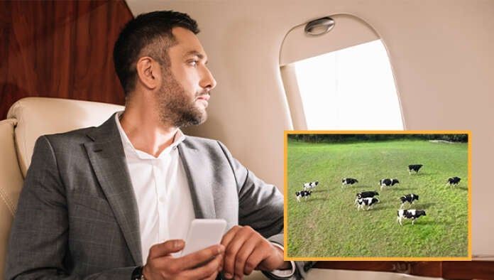 Liberal Jetsetter's Shock: Cows Below Blamed for Climate Crisis!  climate change awareness, private jet criticism, livestock environmental impact