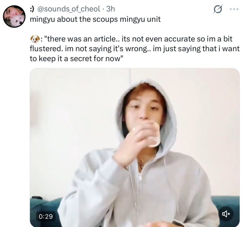 Mingyu's Secret Unraveled: Hoshi's Shocking Revelation Stuns Fans! K-pop member surprises, friendship dynamics in idol groups, accidental reveals in celebrity culture