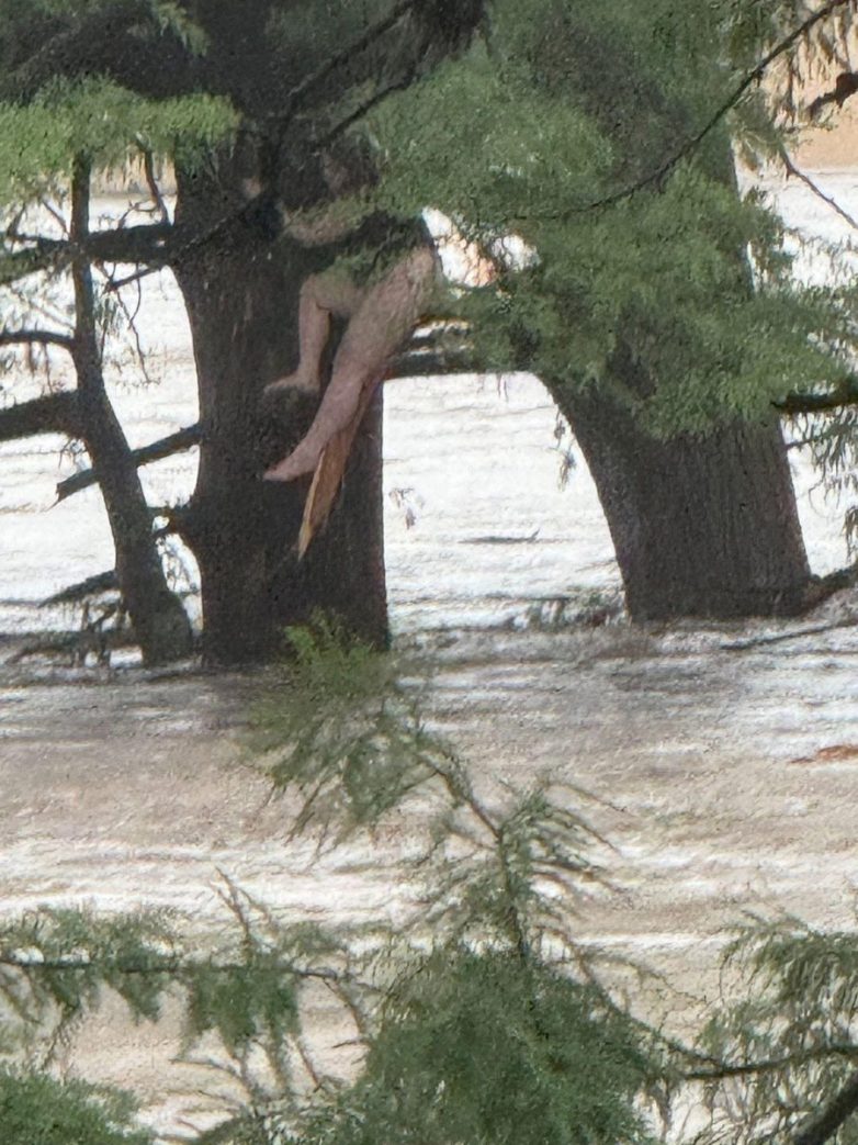 "Miracle Survival: Girl Discovered Alive Amidst Texas Flood Chaos!" Texas flood rescue, missing girl recovery, Hill Country emergency response