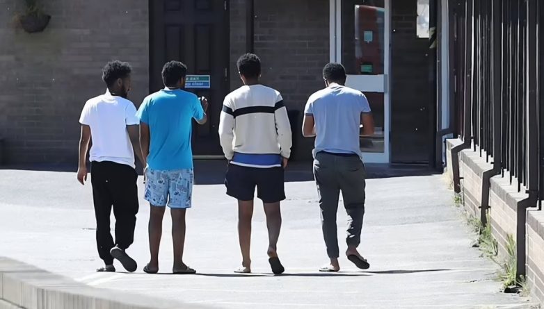 "Outrage: 20% of Aid Budget Diverted to Controversial Asylum Hotels!" asylum accommodation funding, UK foreign aid allocation, refugee support expenditure