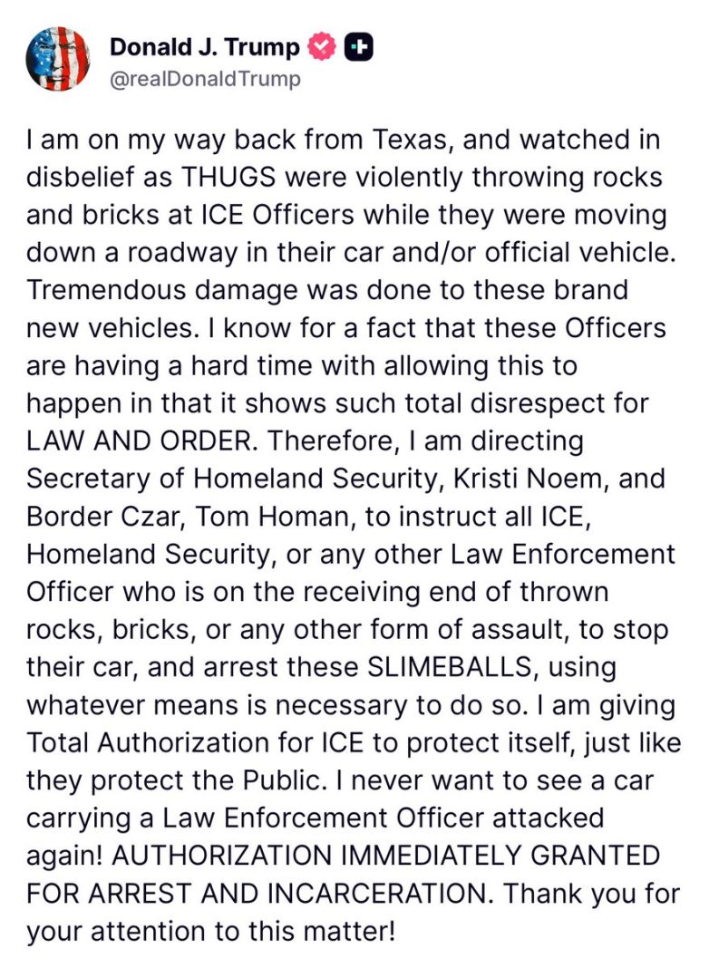 "Trump Orders ICE to Hunt Down Rioters: Total Crackdown Begins!" immigration enforcement tactics, public safety during protests, law enforcement accountability