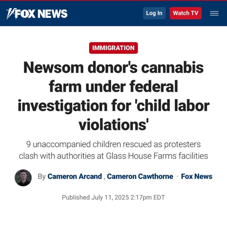 Weed Farm Linked to Newsom Raided by ICE for Shocking Violations!  ICE raid child labor laws, cannabis farm political donations, agricultural labor investigations 2025